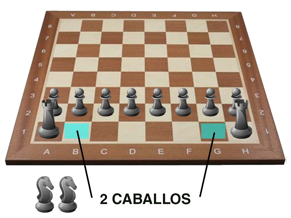 colocacion ajedrez - caballos