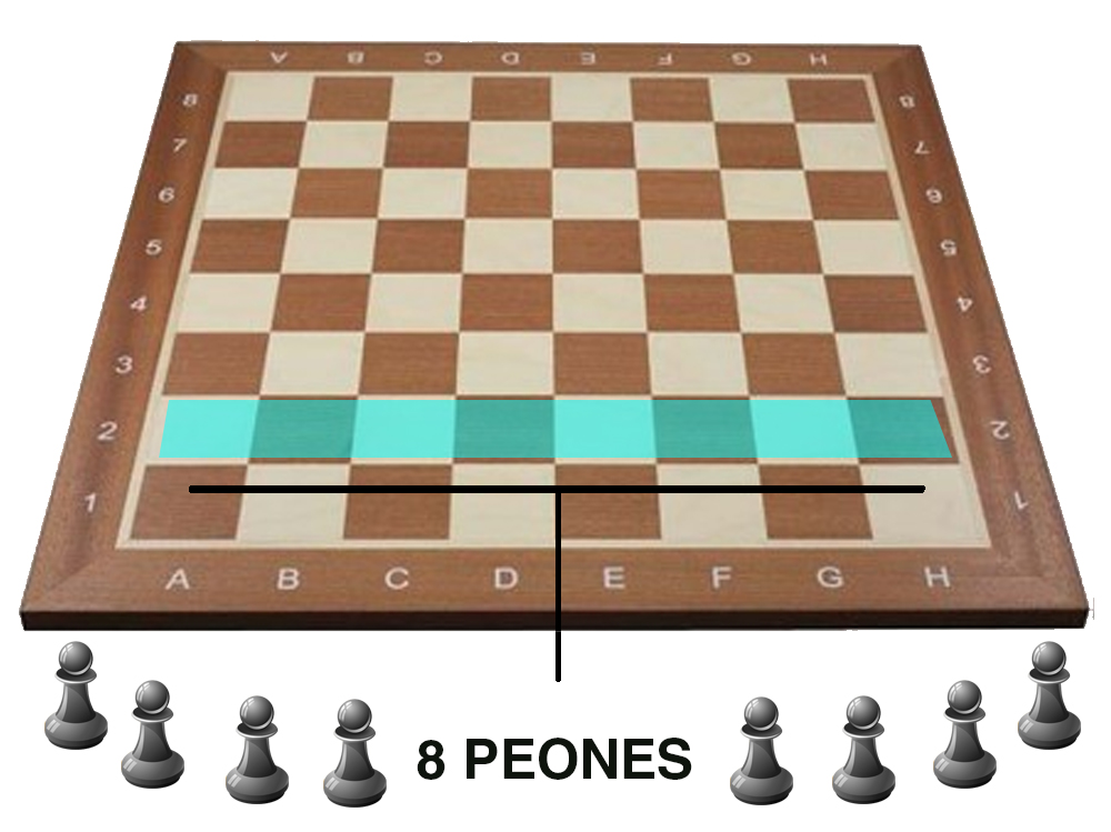 colocacion ajedrez - Peones