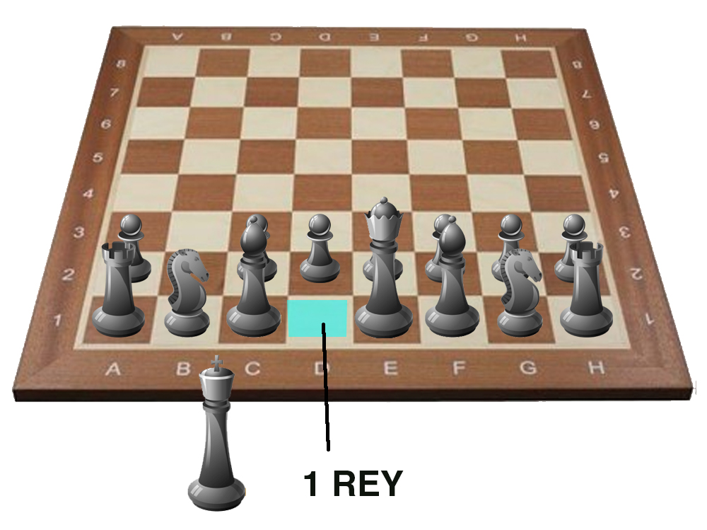 colocacion ajedrez - rey